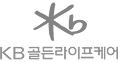 KB골든라이프케어